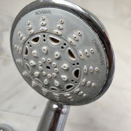 Disgusting shower head