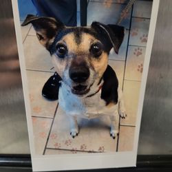 Bayonne Animal Hospital - "Heeeerrrrree's Johnny!"