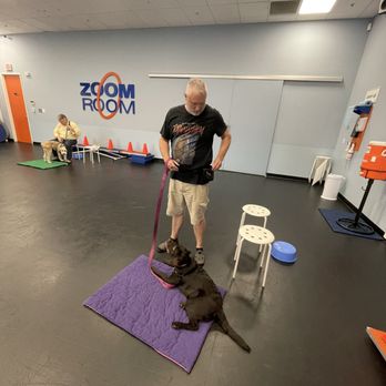 Zoom Room Dog Training - Pet Training Near Me - Reno, Nevada Zoom Room Dog Training - Pet Training Near Me - Reno, Nevada