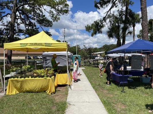 Beaches Green Market by null