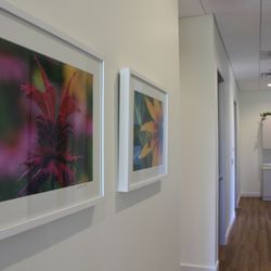 Parkway Family Dentistry