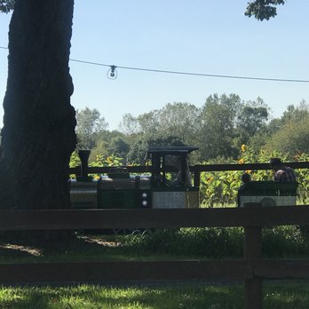 Royal Oak Farm Orchard - Fruits & Veggies Near Me - Harvard, Illinois