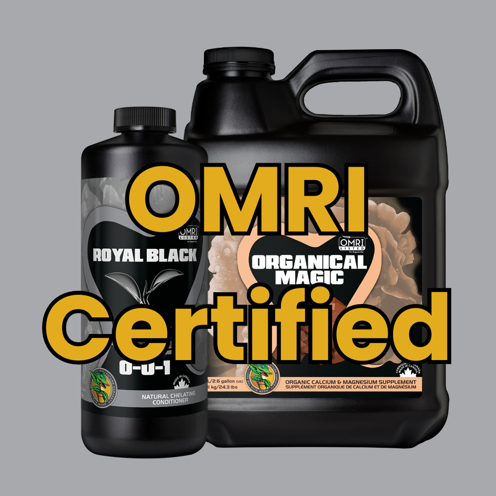 FUTURE HARVEST DEVELOPMENT 10 Photos 725 Evans Crt, Kelowna, British Columbia, Canada