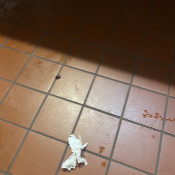 Chevys - Cockroaches in the bathroom - Mexican Near Me - Fairfield, California