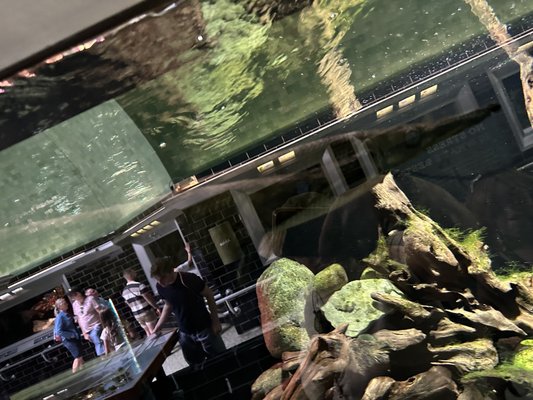 Belle Isle Aquarium by null