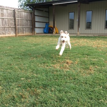 Critter Corral - Privacy Yard Play - Pet Boarding Near Me - Newbern, Tennessee Critter Corral - Privacy Yard Play - Pet Boarding Near Me - Newbern, Tennessee