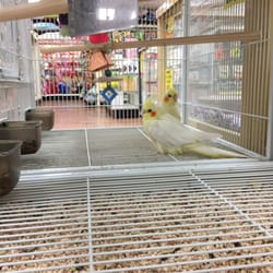 Pet Supermarket