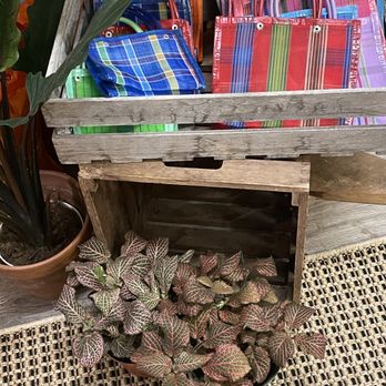 Latinx With Plants - Nurseries & Gardening Near Me - Los Angeles, California
