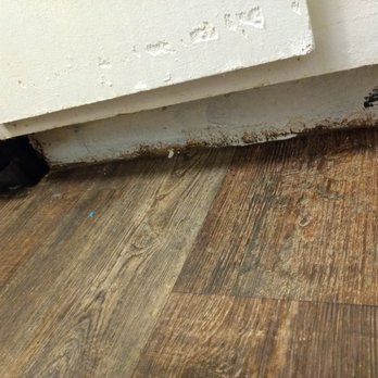Tramor at Creek Village - kitchen cabinets where they meet the floor looking rough - Apartments Near Me - Austin, Texas Tramor at Creek Village - kitchen cabinets where they meet the floor looking rough - Apartments Near Me - Austin, Texas