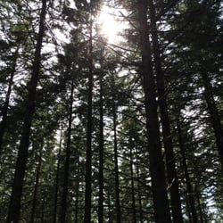 Chip Ross Park