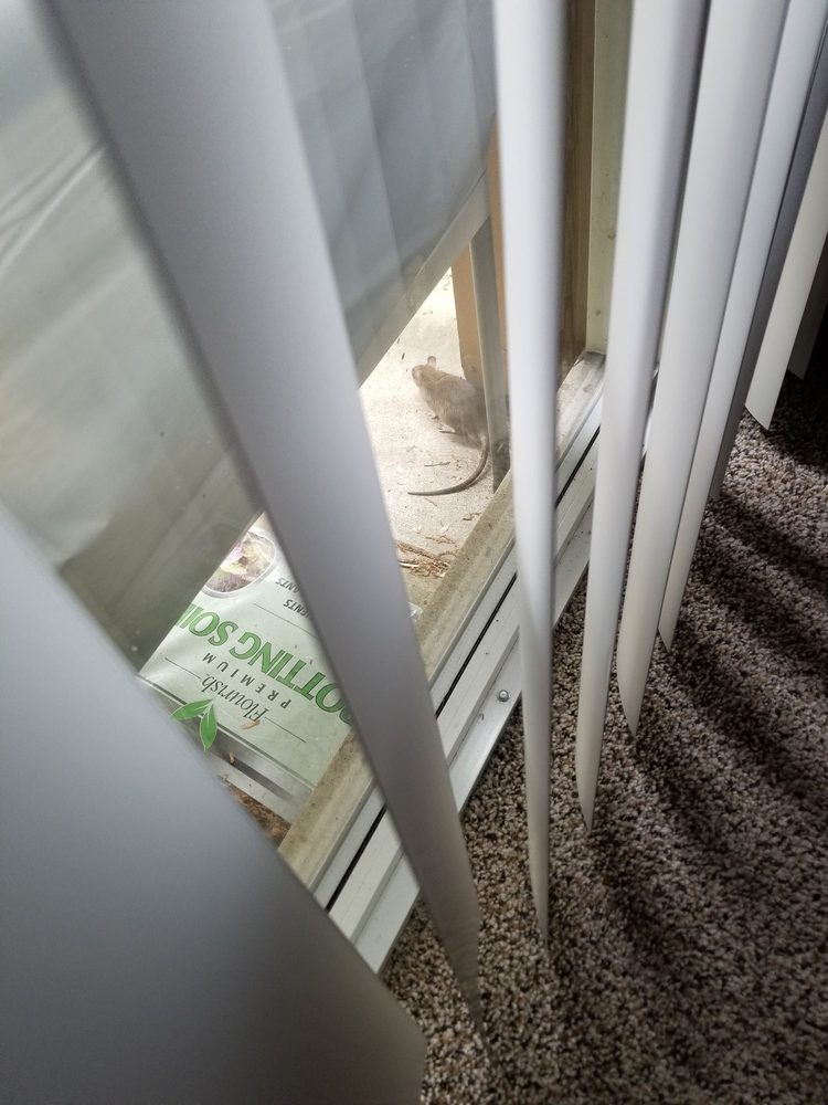 LAKEVIEW APARTMENTS Updated September 2024 31 Photos & 12 Reviews