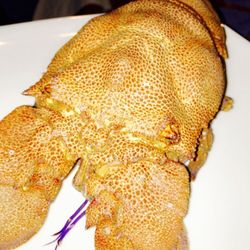 Restaurant Neptunus - Aragosta!! Aka the lobster! €100!