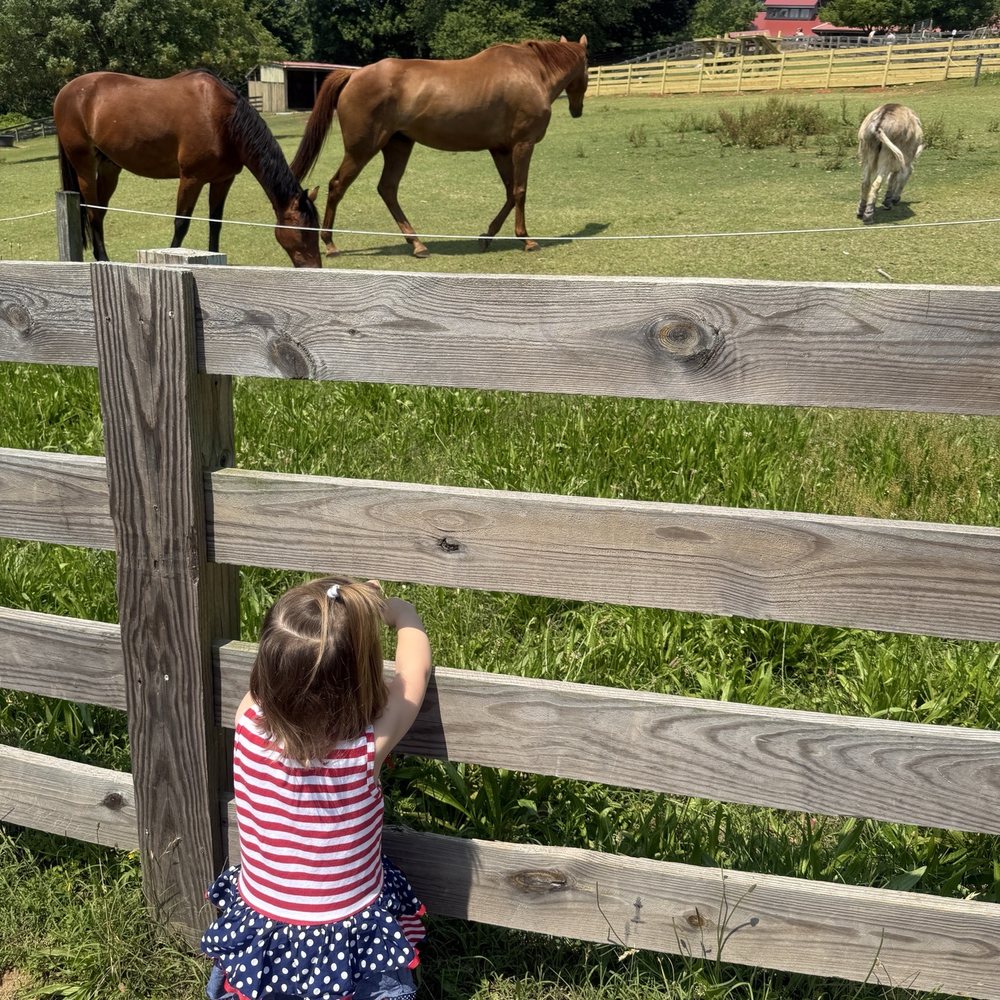Maymont - Beautiful horses and a cute lil donkey! - Parks Near Me - Richmond, Virginia Maymont - Beautiful horses and a cute lil donkey! - Parks Near Me - Richmond, Virginia