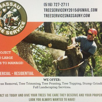 Tree Service Nassau NY - Tree Service in Nassau and Suffolk County. - Tree Services Near Me - Glen Cove, New York Tree Service Nassau NY - Tree Service in Nassau and Suffolk County. - Tree Services Near Me - Glen Cove, New York