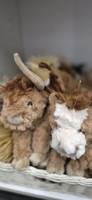 Vroman's Bookstore by null