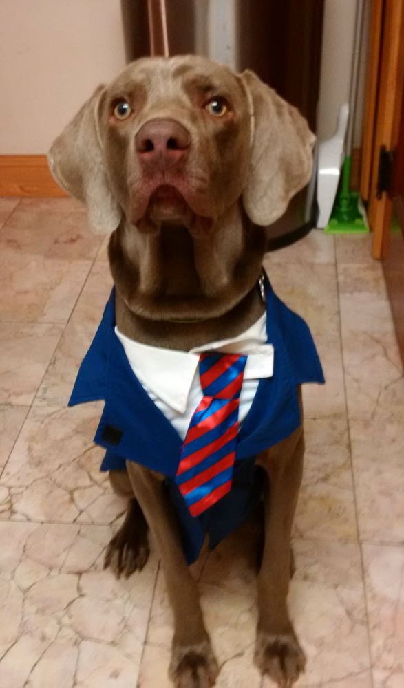 SOLOMON VALLEY VETERINARY HOSPITAL Updated September 2024 2911