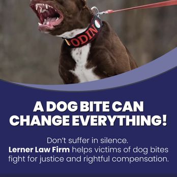 Lerner Law Firm - Personal Injury Law Near Me - Burbank, California Lerner Law Firm - Personal Injury Law Near Me - Burbank, California
