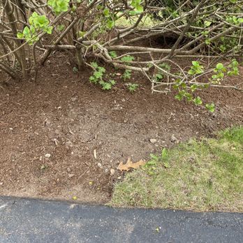 Jeff's Landscape - Another area straightened out but is now just dirt. - Landscaping Near Me - Wakefield, Massachusetts