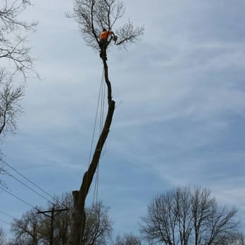 Ed's Tree Service - Tree Services Near Me - Manchester, Missouri