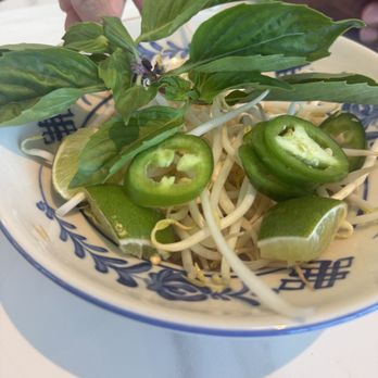Phoenix Pho - Herbs - Coffee & Tea Near Me - Fort Worth, Texas Phoenix Pho - Herbs - Coffee & Tea Near Me - Fort Worth, Texas