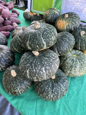 Union City Farmers' Market by null