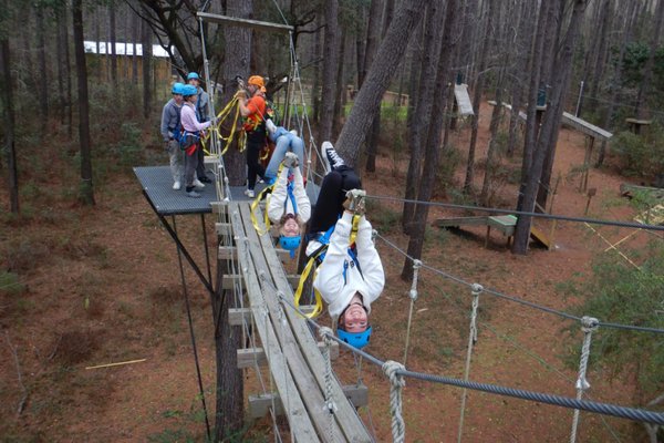 Charleston Adventure Forest by null