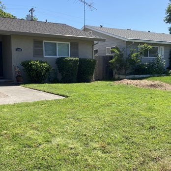 Easy Stumps Tree Services - Completed tree removal - Tree Services Near Me - Folsom, California Easy Stumps Tree Services - Completed tree removal - Tree Services Near Me - Folsom, California