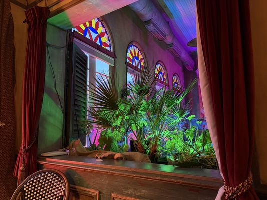 Cuba Libre Restaurant & Rum Bar by null