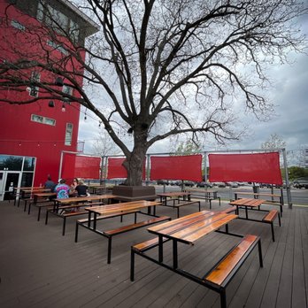 Jewboy Sub Shop - Nice outdoor deck with tree. - Sandwiches Near Me - Austin, Texas Jewboy Sub Shop - Nice outdoor deck with tree. - Sandwiches Near Me - Austin, Texas