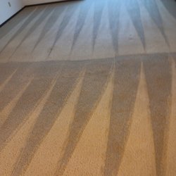 Oxi Fresh Carpet Cleaning