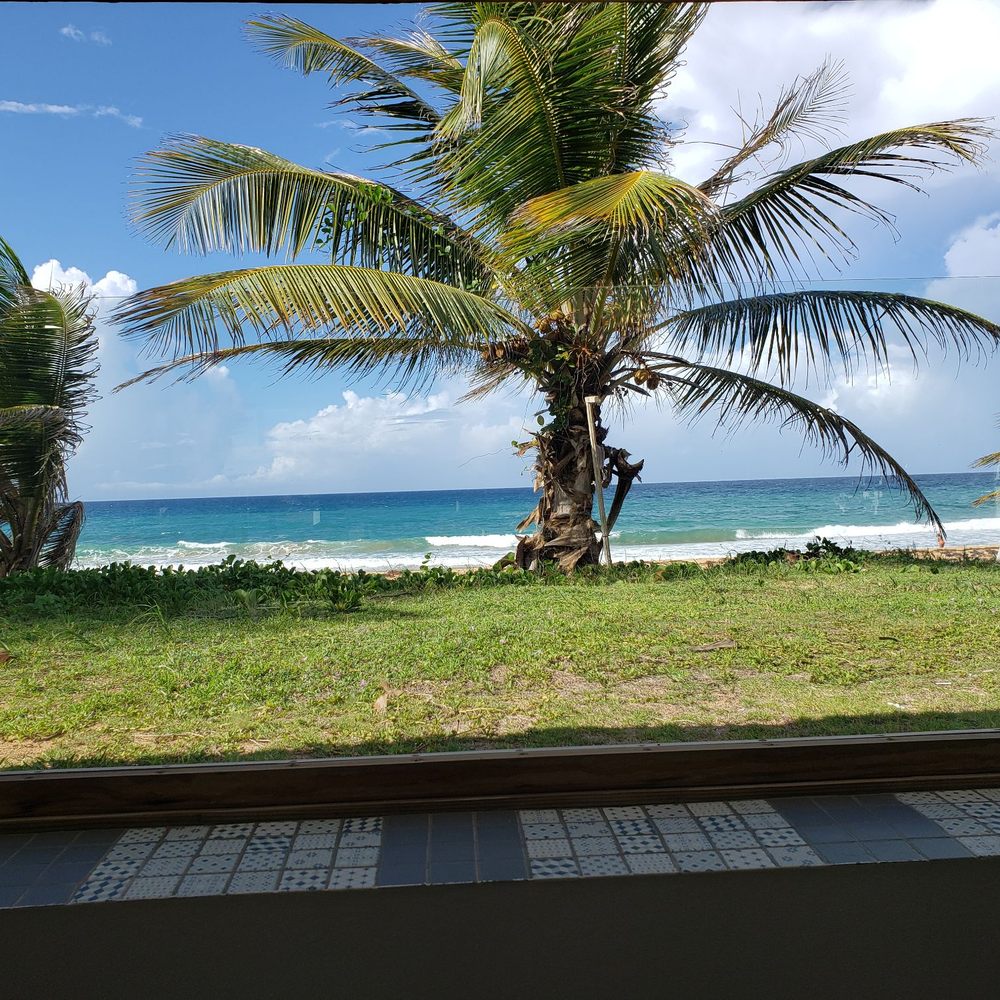 Drift - Seafood Near Me - Loiza, Puerto Rico Drift - Seafood Near Me - Loiza, Puerto Rico