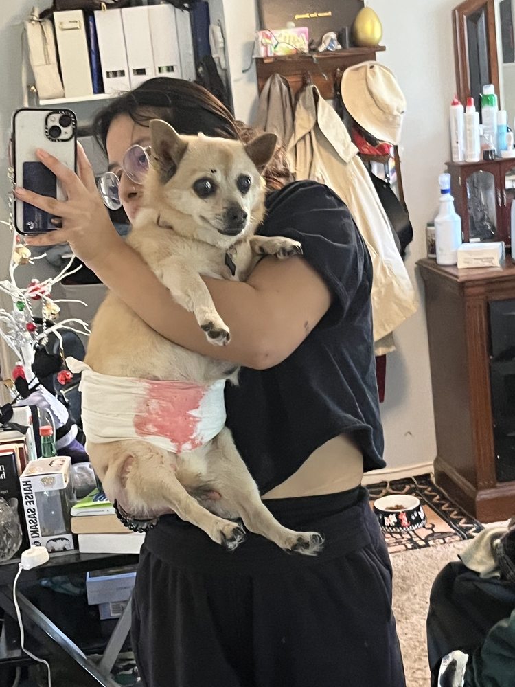 EAST PAULDING ANIMAL HOSPITAL Updated October 2024 22 Photos & 31