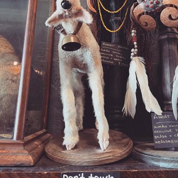 Cleveland Curiosities - What iS THAT?! - Antiques Near Me - Lakewood, Ohio Cleveland Curiosities - What iS THAT?! - Antiques Near Me - Lakewood, Ohio