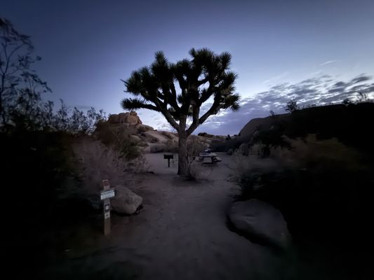 Sheep Pass Campground by null