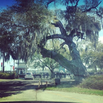 Tchefuncte River - Love this view. - Boating Near Me - Madisonville, Louisiana