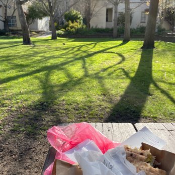 Twin Pines Park - Me and the squirrel  having lunch - Parks Near Me - Belmont, California