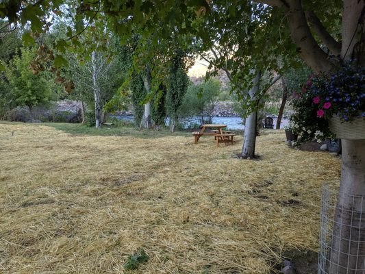 Salmon Gypsy Bed & Breakfast by null