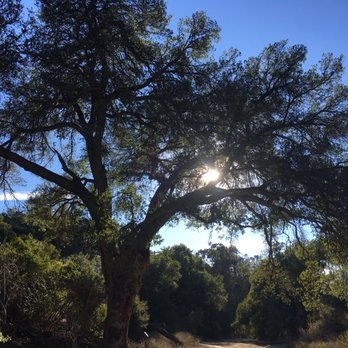 Corriganville Park - Dog Parks Near Me - Simi Valley, California
