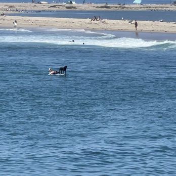 Malibu Pier - Local Flavor Near Me - Malibu, California