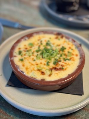 Little Coyote by null