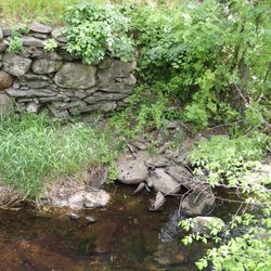 Monoosnoc Brook Walk - crumbling wall