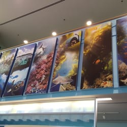 Professional Association of Diving Instructors - Inspiring art!