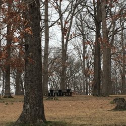 Binkley Woods Park & Spector Lake