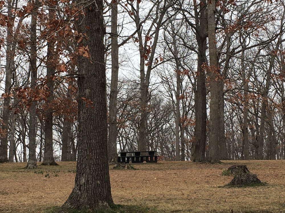 Binkley Woods Park & Spector Lake Logo
