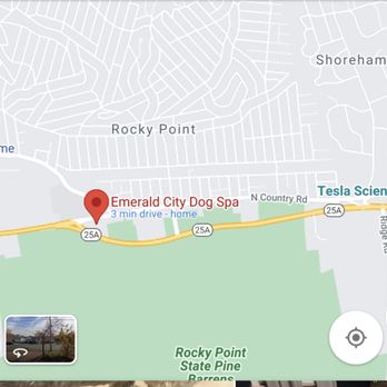 EMERALD CITY DOG SPA - Emerald City Dog Spa Grooming in Rocky Point! - Pet Services Near Me - Rocky Point, New York EMERALD CITY DOG SPA - Emerald City Dog Spa Grooming in Rocky Point! - Pet Services Near Me - Rocky Point, New York