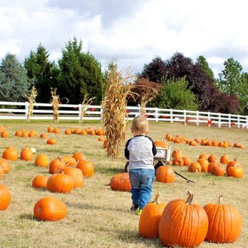Roloff Farms - Party & Event Planning Near Me - Hillsboro, Oregon Roloff Farms - Party & Event Planning Near Me - Hillsboro, Oregon