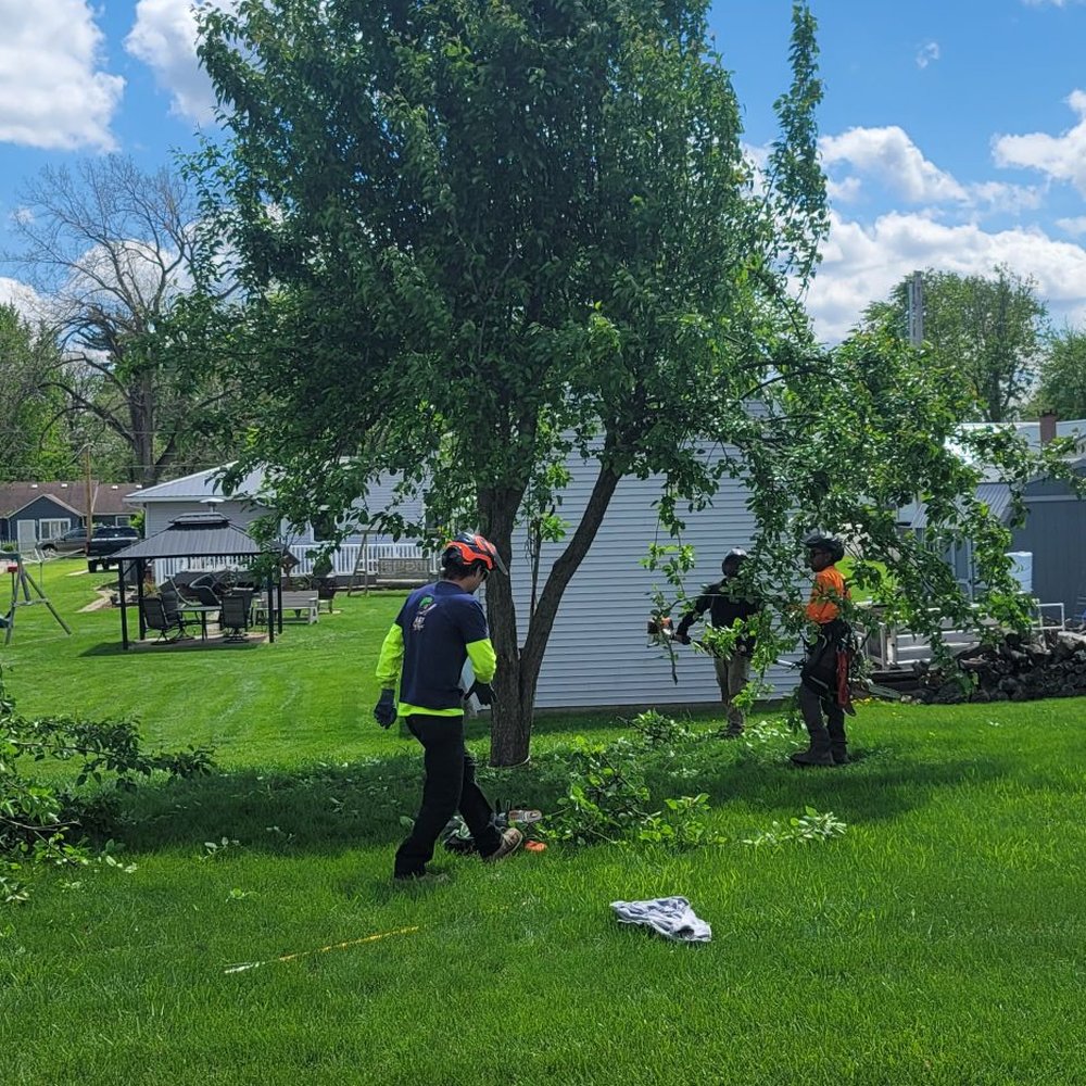 R & T Tree Experts - Tree Services Near Me - Fort Wayne, Indiana R & T Tree Experts - Tree Services Near Me - Fort Wayne, Indiana