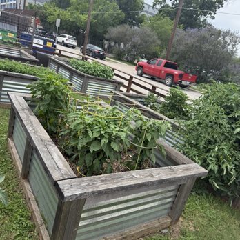 Taste Community Restaurant - garden fresh - New American Near Me - Fort Worth, Texas