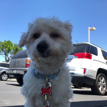 Foothill Animal Hospital - First Dr visit - Veterinarians Near Me - Upland, California Foothill Animal Hospital - First Dr visit - Veterinarians Near Me - Upland, California