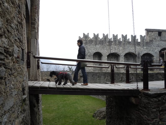 Castello di Montebello by null